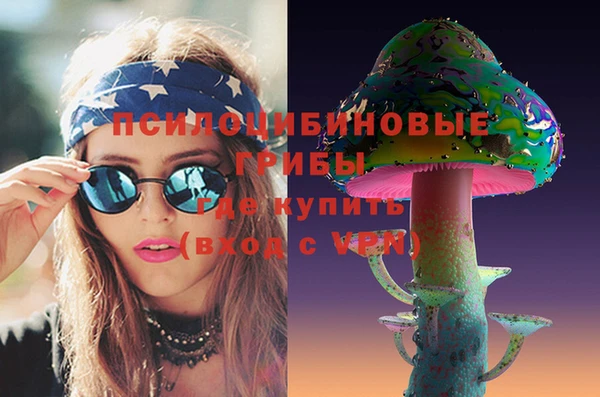 МДПВ Бугульма