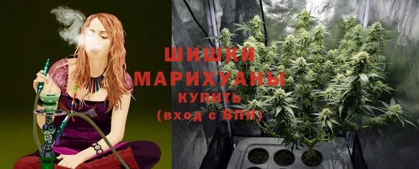 наркотики Бородино