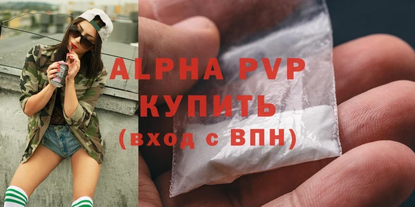 ECSTASY Богородицк