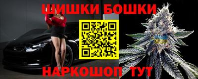 МДПВ Гатчина