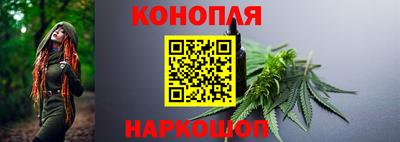 МДПВ Гатчина