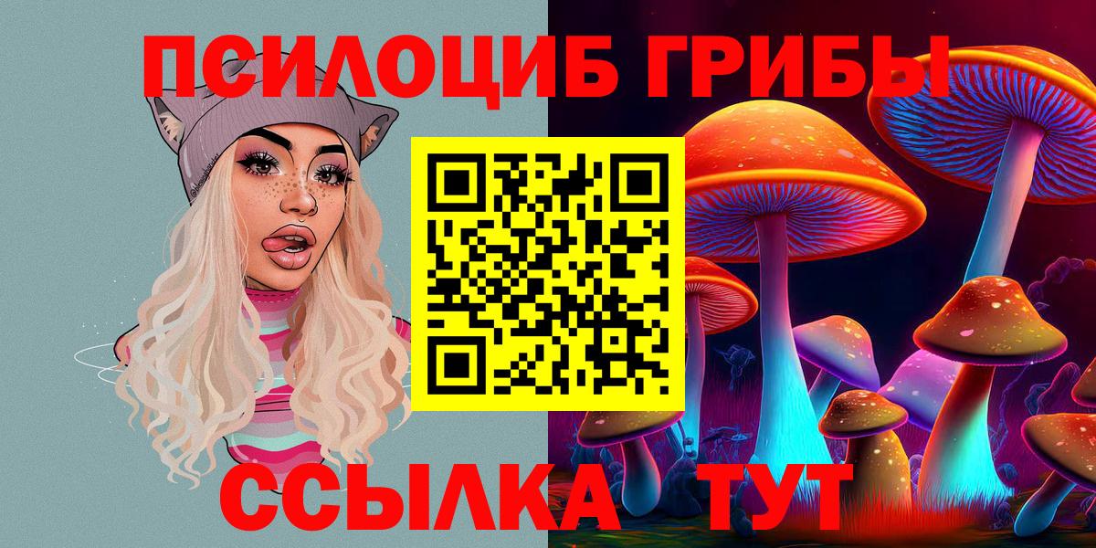 Галлюциногенные грибы прущие грибы Ейск