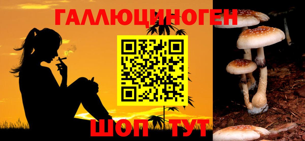 Галлюциногенные грибы Magic Shrooms Ейск