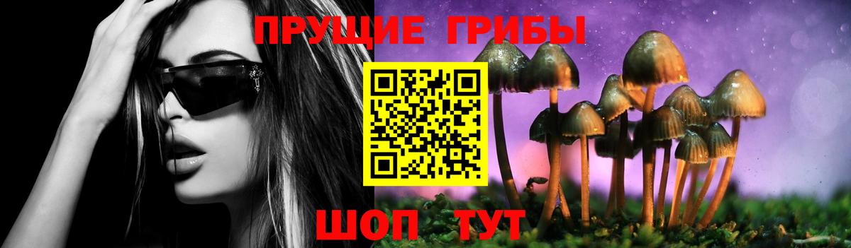 Ейск  цены наркотик  Вход с VPN  Галлюциногенные грибы MAGIC MUSHROOMS 